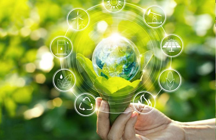 quản lý tài nguyên và môi trường