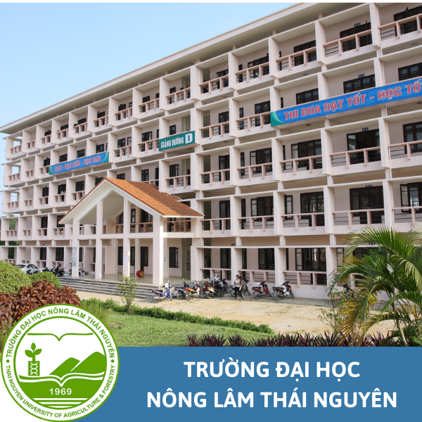 Đại học từ xa Blog