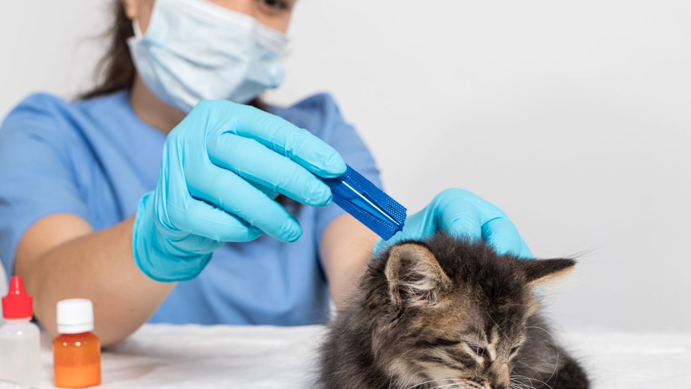 Khái niệm tổng quan về ngành Dược thú y