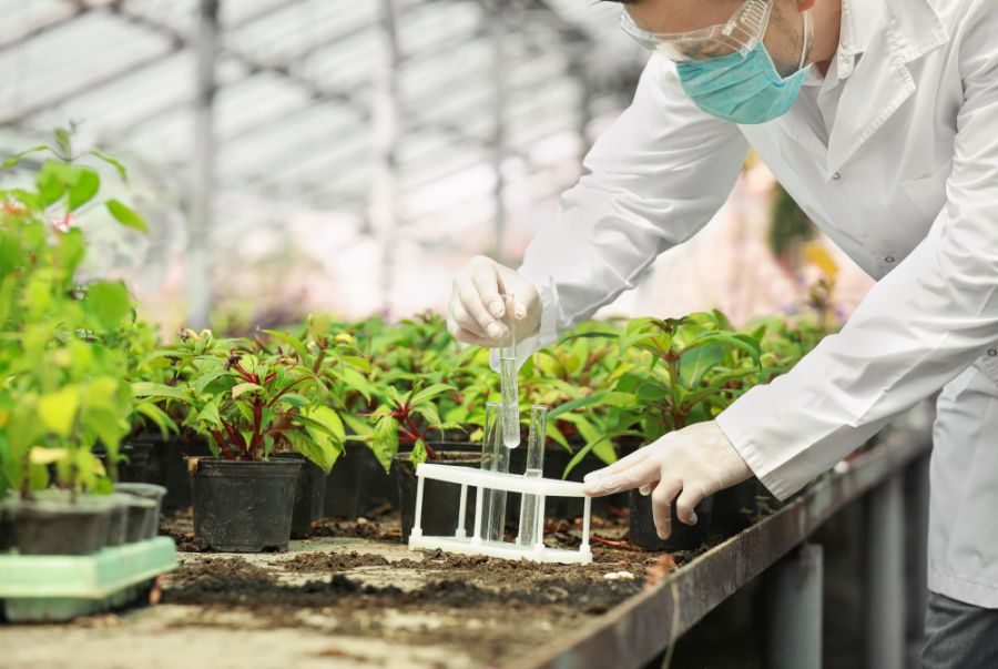 Sư phạm Kỹ thuật Nông nghiệp