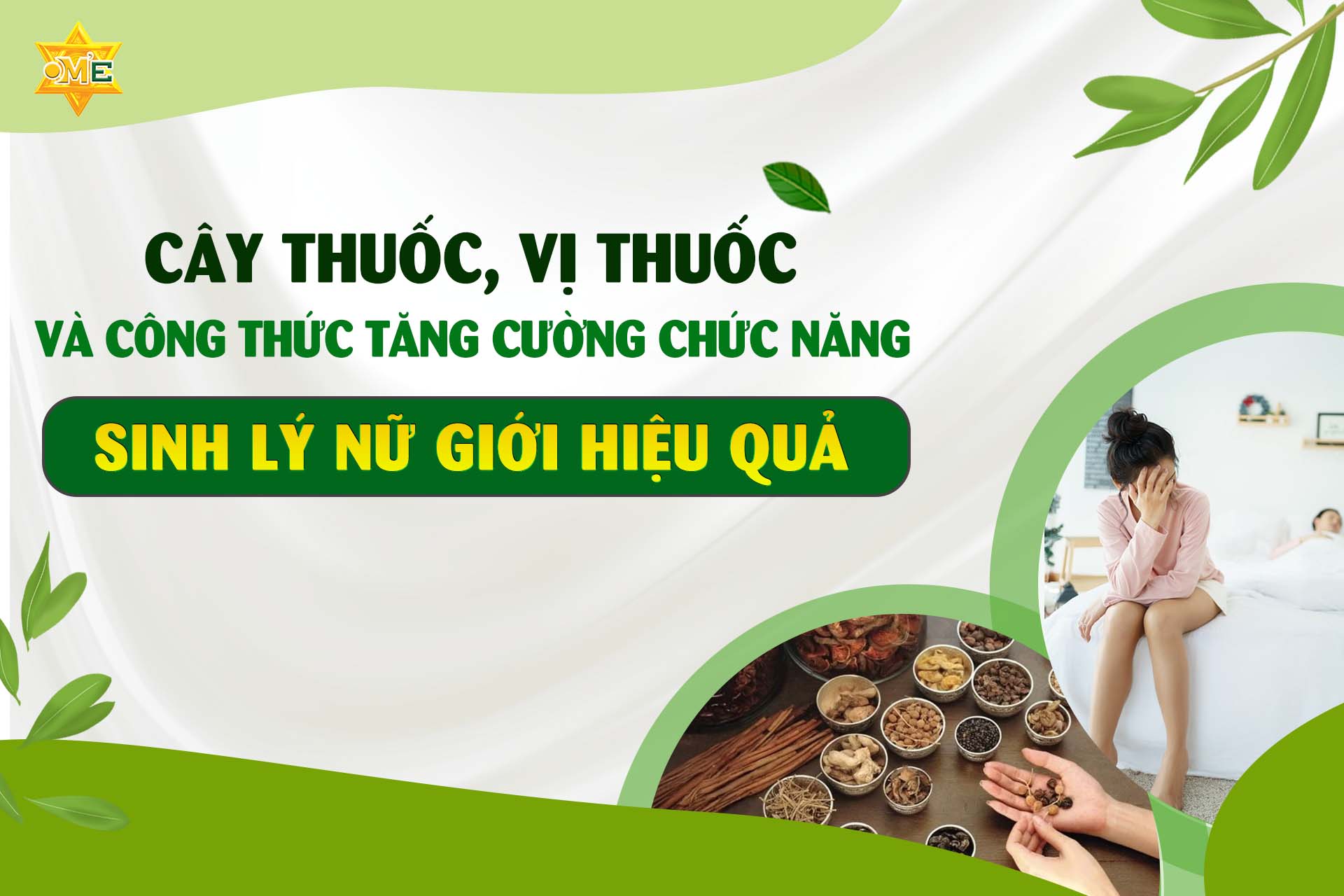Cây thuốc, vị thuốc và công thức tăng cường chức năng sinh lý nữ giới hiệu quả
