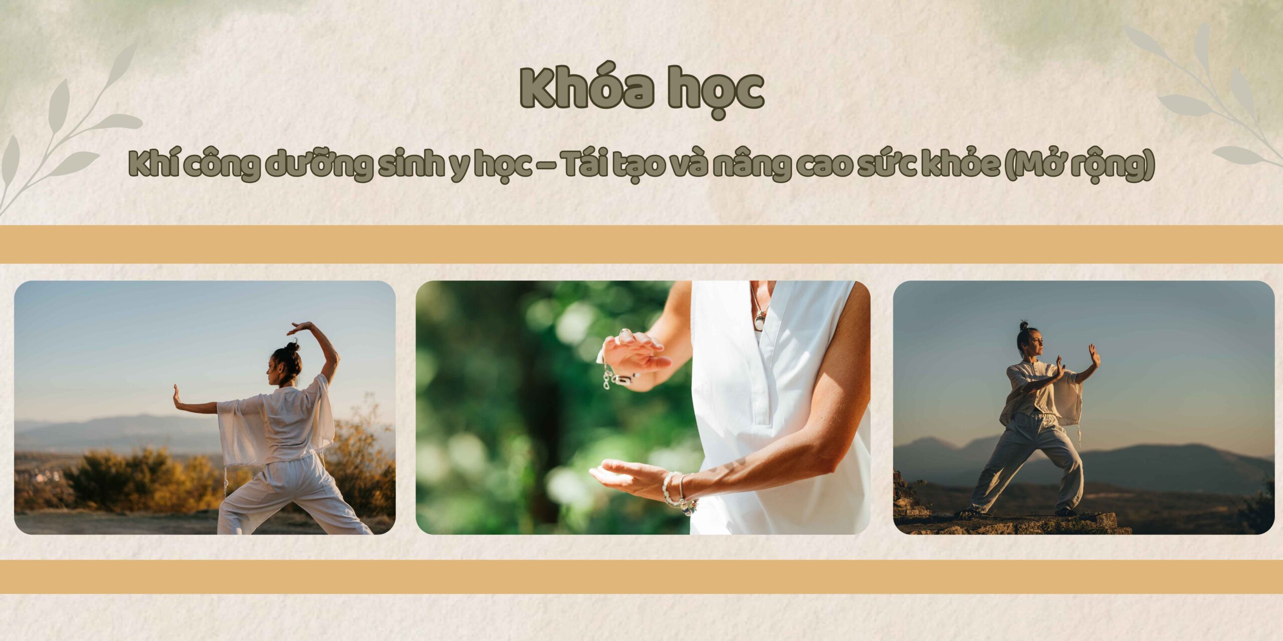 Khí công dưỡng sinh y học – Tái tạo và nâng cao sức khỏe (Mở rộng)